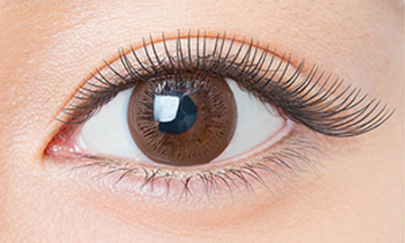 フラットラッシュ