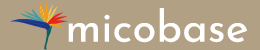 micobase